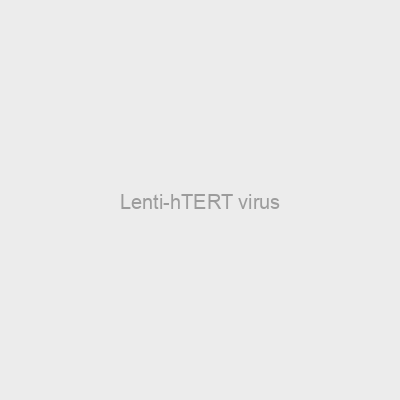 Lenti-hTERT virus